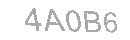 Güvenlik Kodu