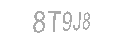 Güvenlik Kodu