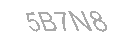 Güvenlik Kodu